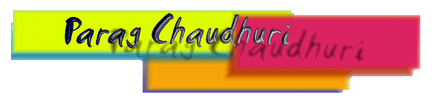 Parag Chaudhuri