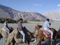 dsc01464 Camel ride