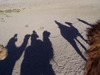 p6240236 Camel ride in shadow