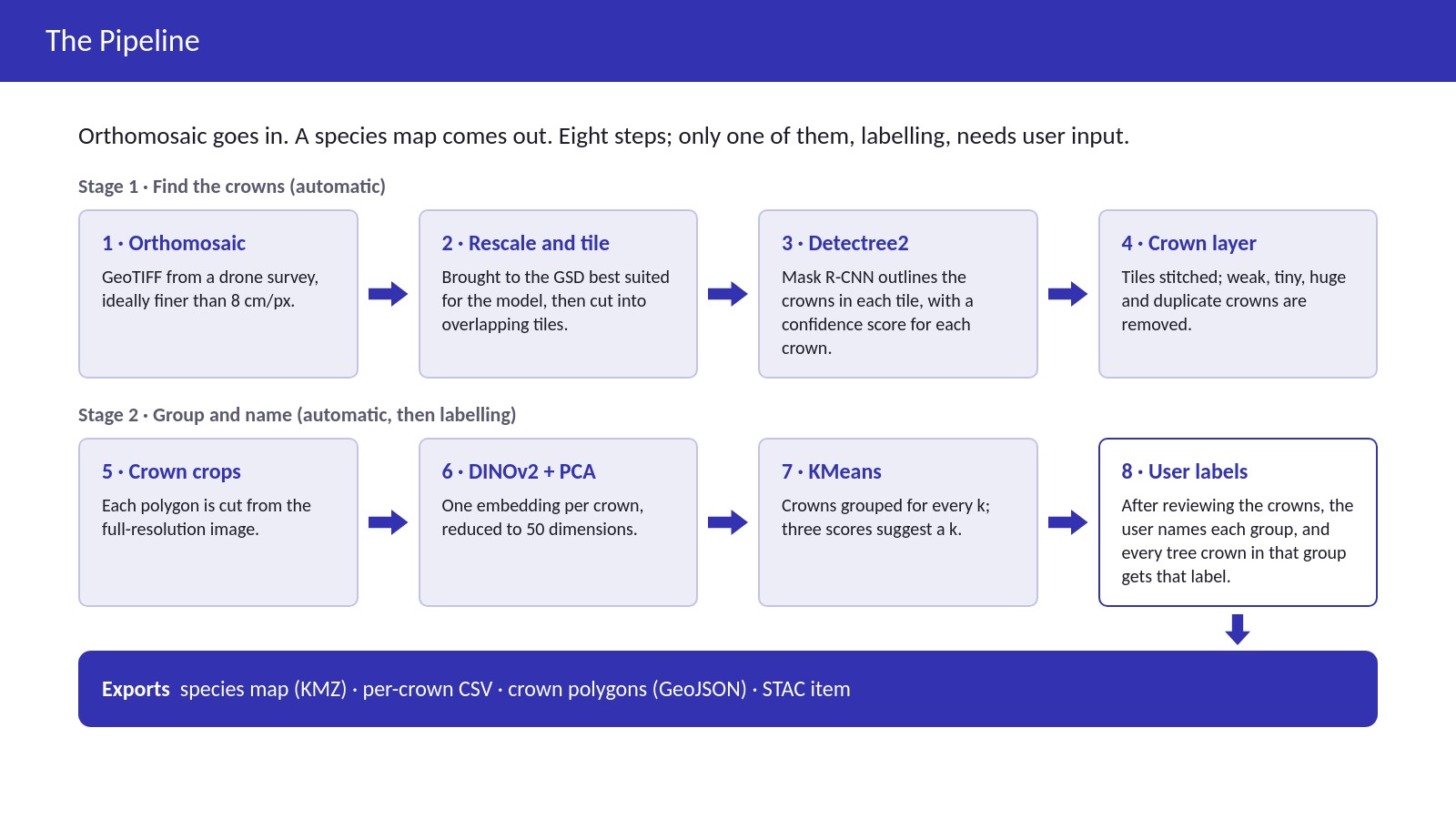 Slide 1: The pipeline