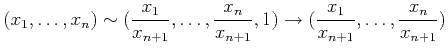 $\displaystyle (x_1,\ldots,x_n) \sim (\frac{x_1}{x_{n+1}},\ldots,\frac{x_n}{x_{n+1}},1)
\rightarrow (\frac{x_1}{x_{n+1}},\ldots,\frac{x_n}{x_{n+1}})
$